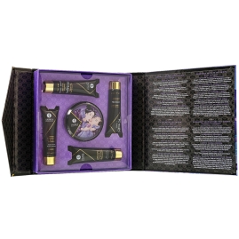 Набор Shunga Geisha's Secret